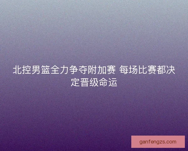 北控男篮全力争夺附加赛 每场比赛都决定晋级命运