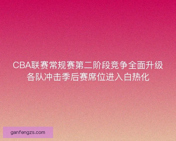 CBA联赛常规赛第二阶段竞争全面升级各队冲击季后赛席位进入白热化