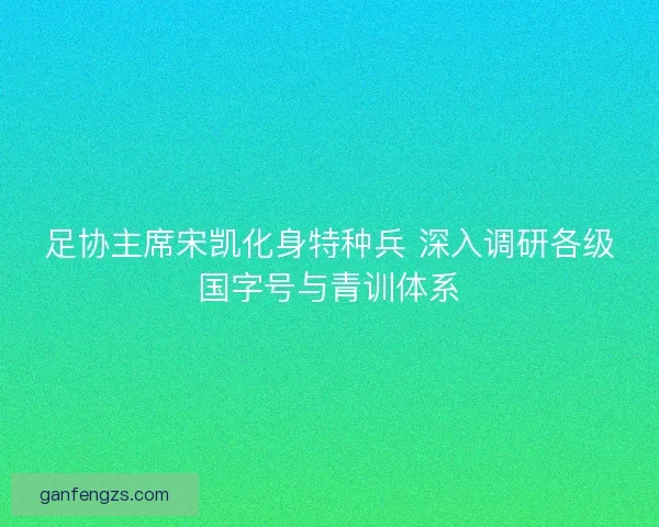 足协主席宋凯化身特种兵 深入调研各级国字号与青训体系 足协主席宋凯化身特种兵 深入调研各级国字号与青训体系