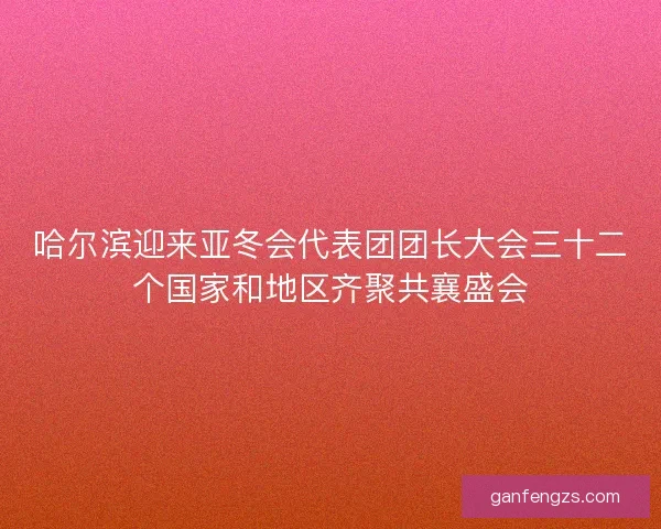 哈尔滨迎来亚冬会代表团团长大会三十二个国家和地区齐聚共襄盛会 哈尔滨迎来亚冬会代表团团长大会三十二个国家和地区齐聚共襄盛会