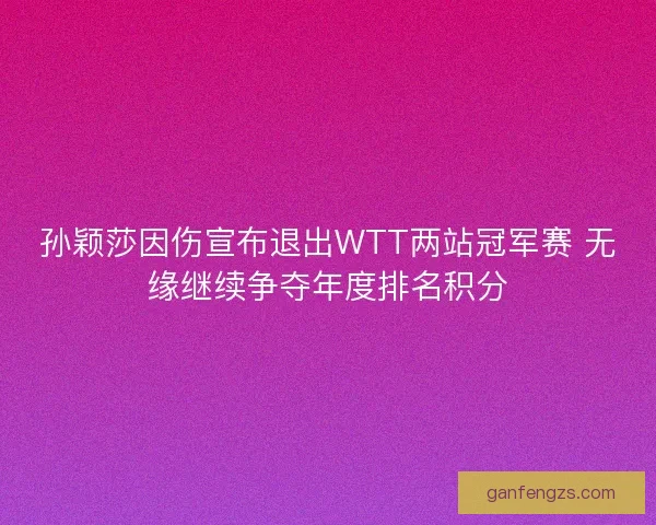 孙颖莎因伤宣布退出WTT两站冠军赛 无缘继续争夺年度排名积分
